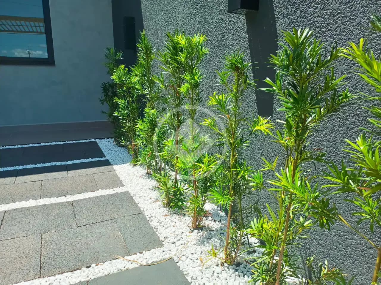 Casa 2 quartos no Brazmadeira, Cascavel — foto 4 de 6