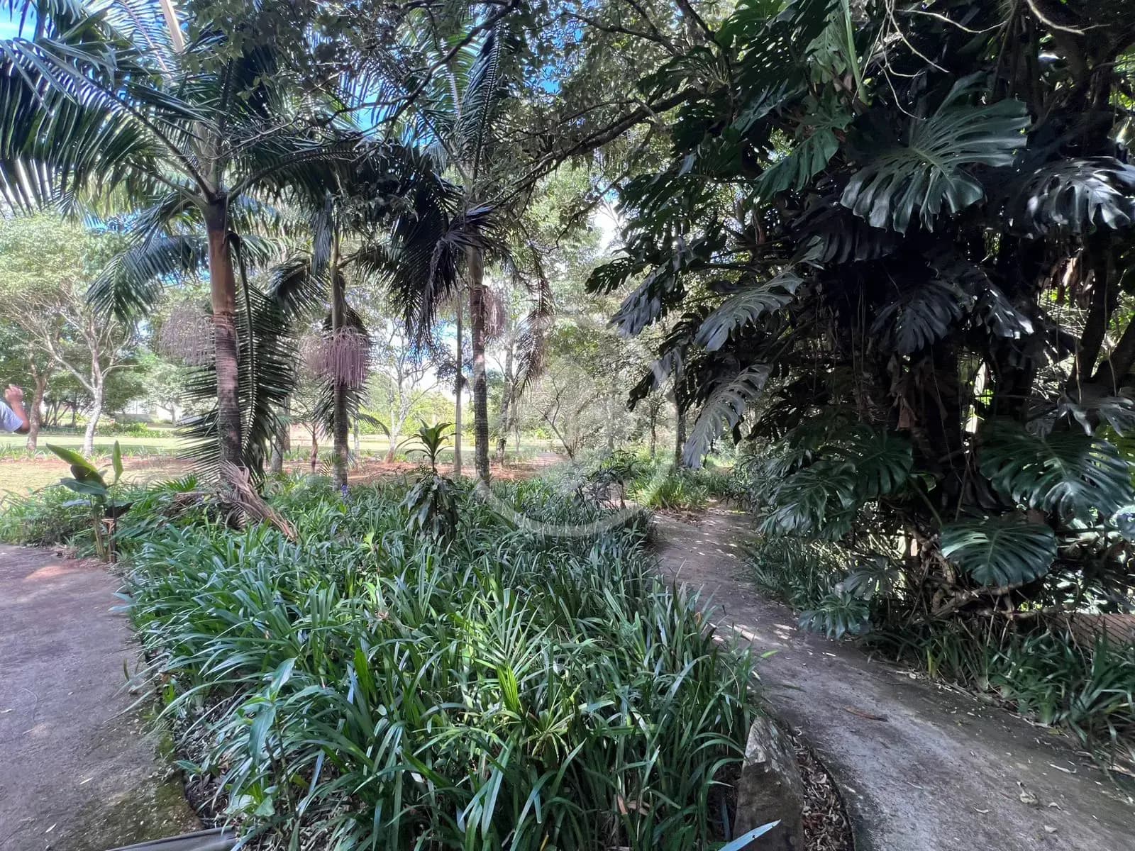 Terreno Condomínio no Bairro Coqueiral, Cascavel — foto 5 de 6