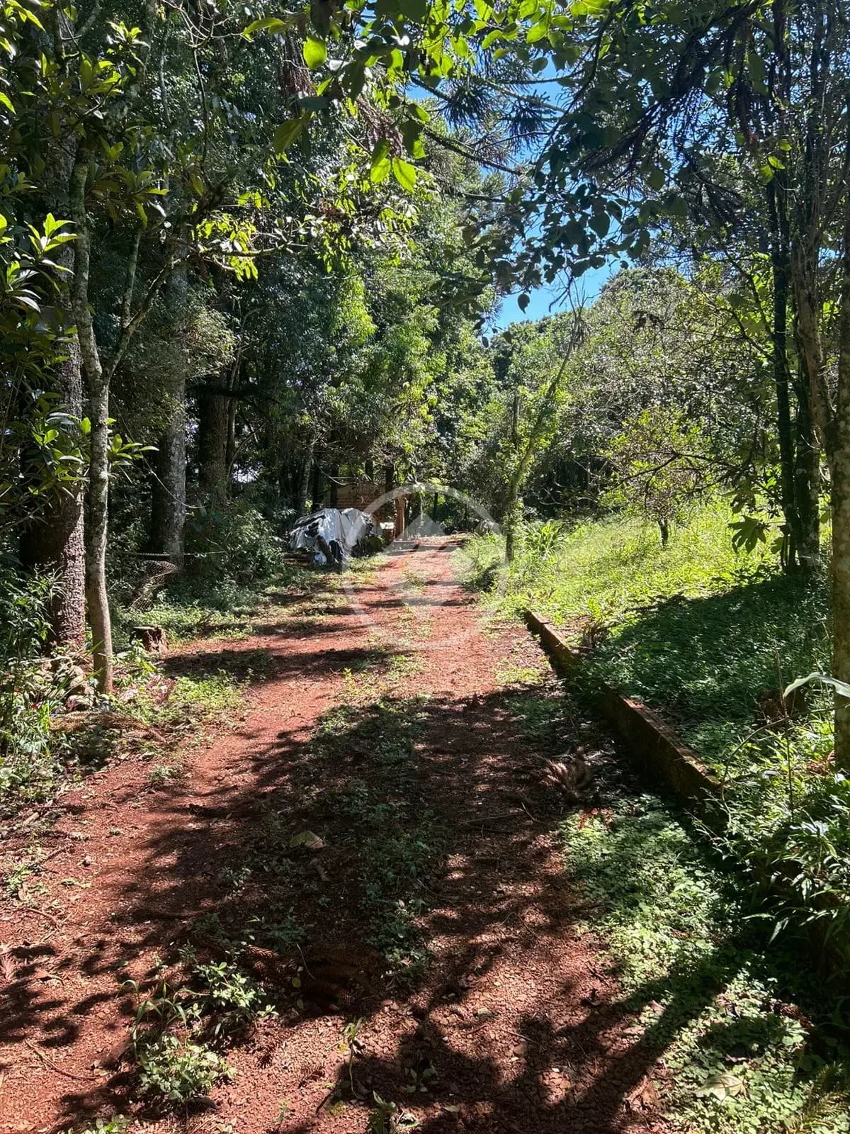 Chácara no Área Rural de Cascavel, Cascavel — foto 5 de 6