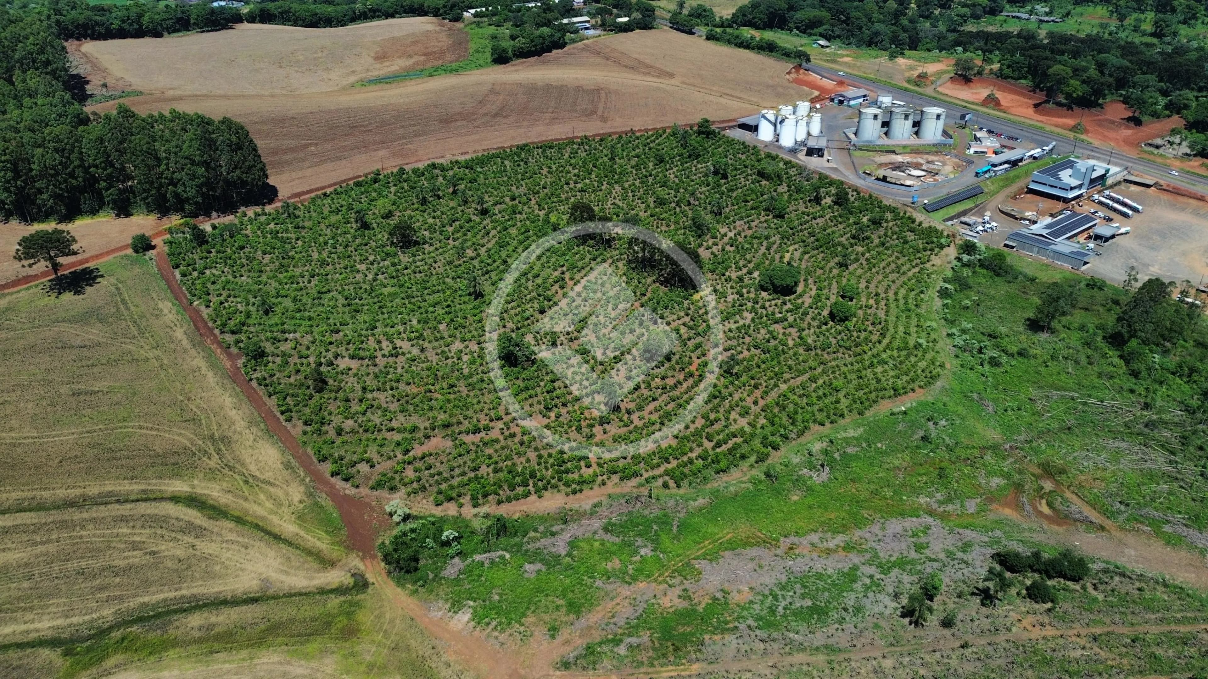 Terreno Centro (Marechal Bormann), Chapecó - SC — foto 2