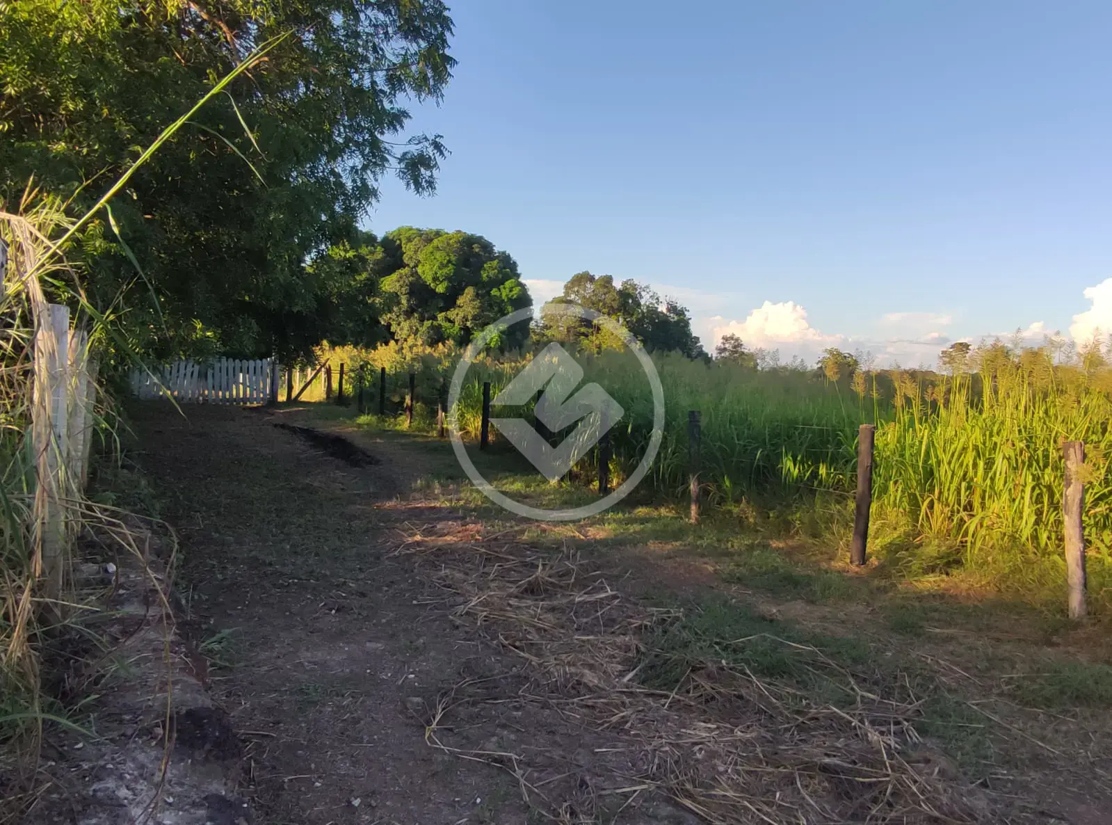 Sítio 2 quartos no Centro Norte, Várzea Grande — foto 4 de 5