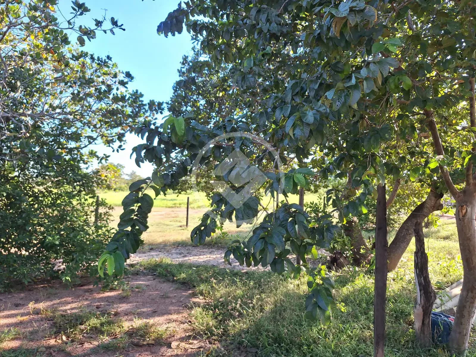 Sítio 2 quartos no ZONA RURAL, Poconé — foto 5 de 6
