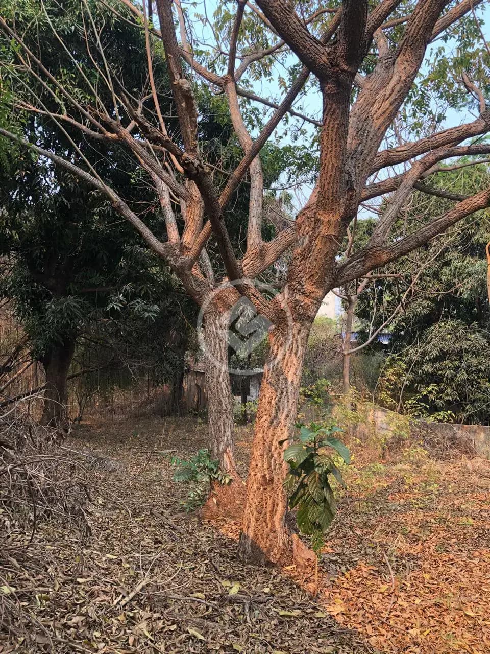 Terreno no Lixeira, Cuiabá — foto 3 de 5