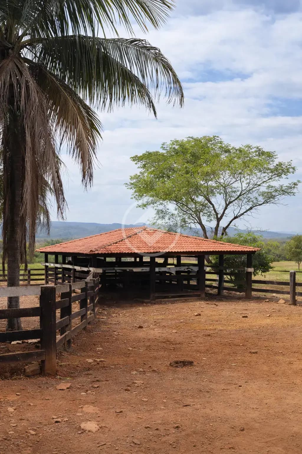 Fazenda Completa na Estrada da Guia – 1.537 Hectares Prontos para Produção