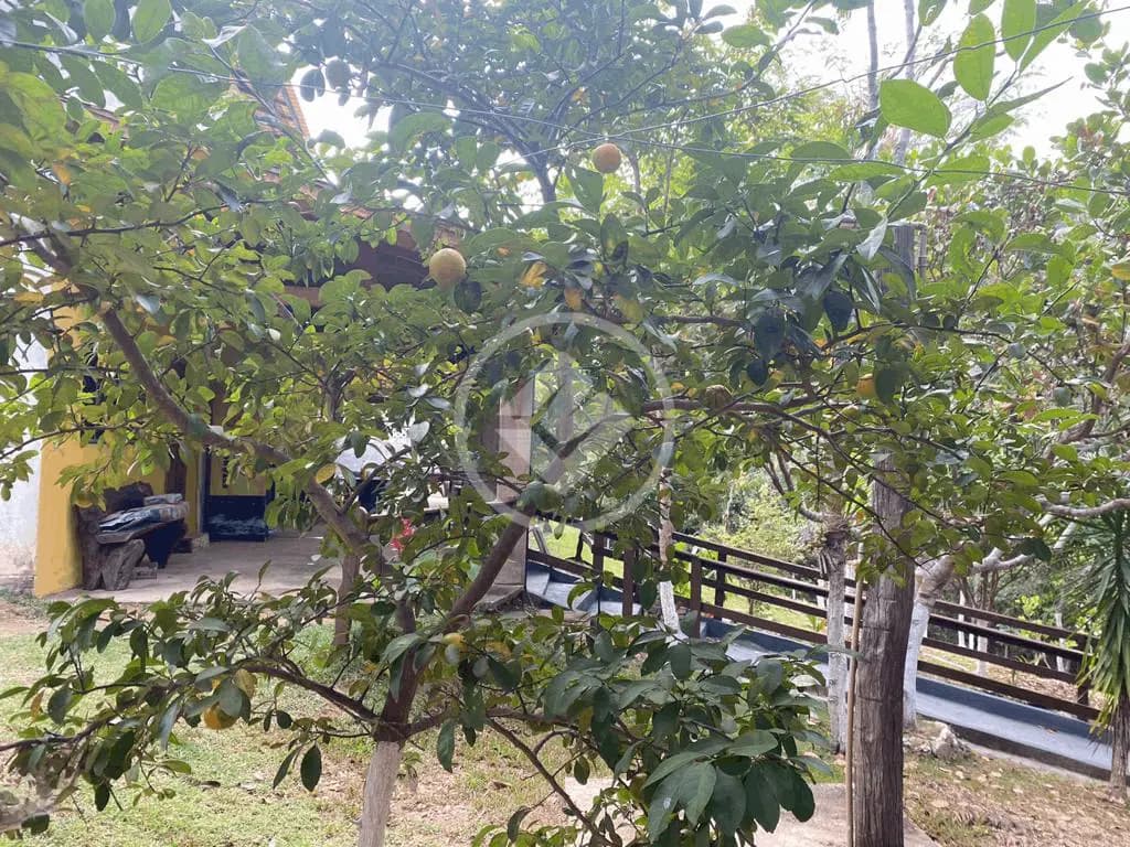 Chácara no Altos da Serra, Cuiabá — foto 3 de 6