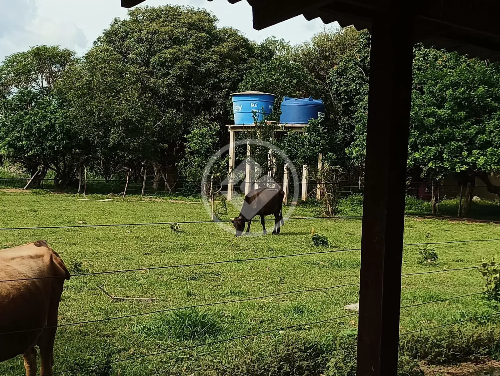 Sítio 3 quartos no ZONA RURAL, Cuiabá — foto 4 de 6