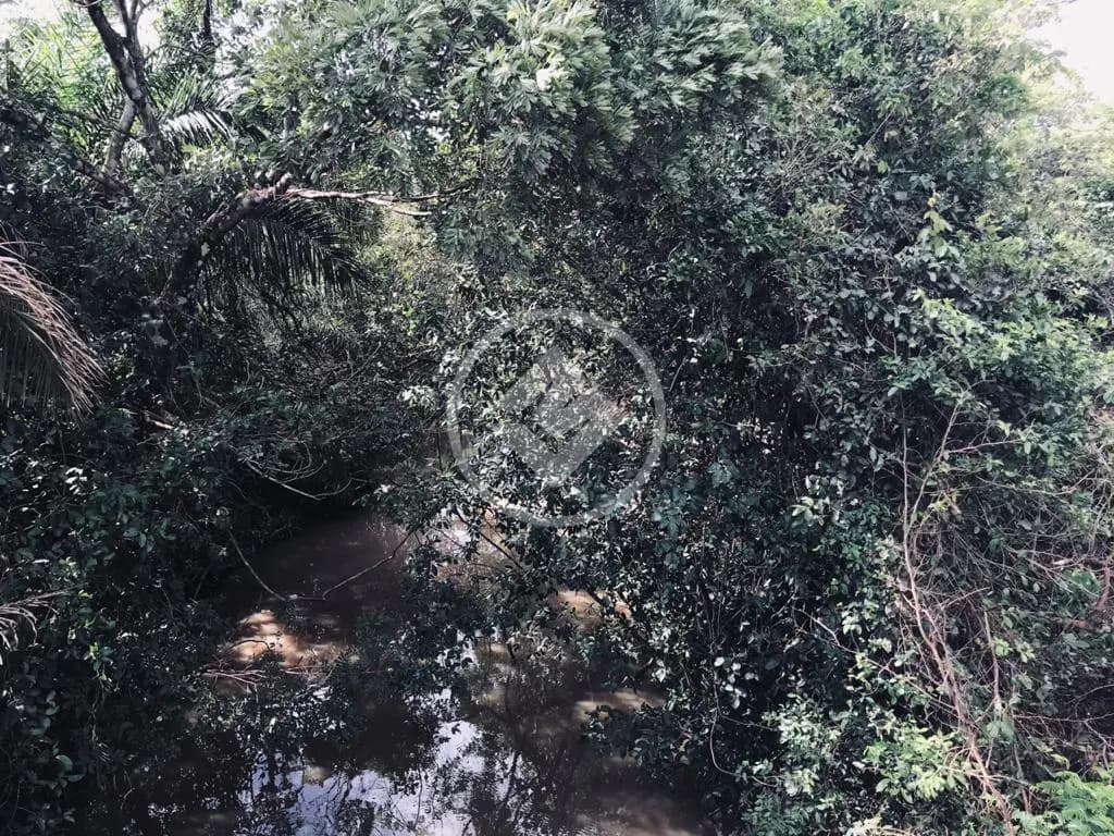 Chácara no Nossa Senhora da Guia, CIDADE CONVERSAO — foto 4 de 6