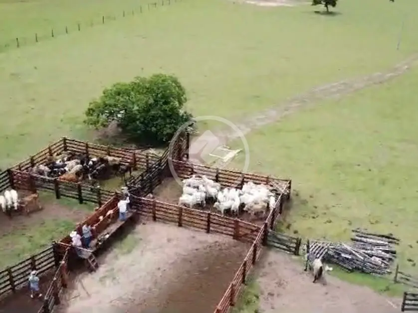 Fazenda 3 quartos no SANTA CRUZ, Chapada dos Guimarães — foto 4 de 6