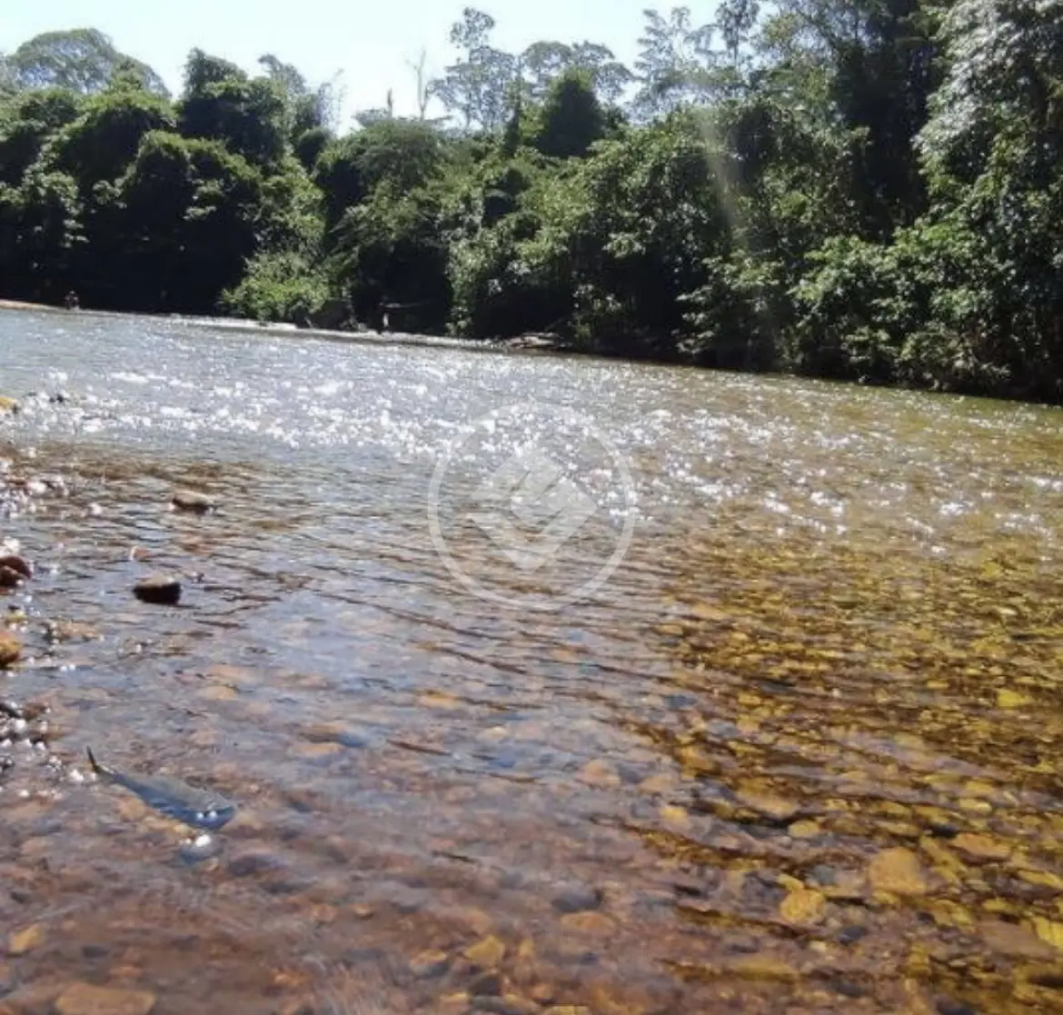 Chácara no Área Rural de Cuiabá, Cuiabá — foto 3 de 6