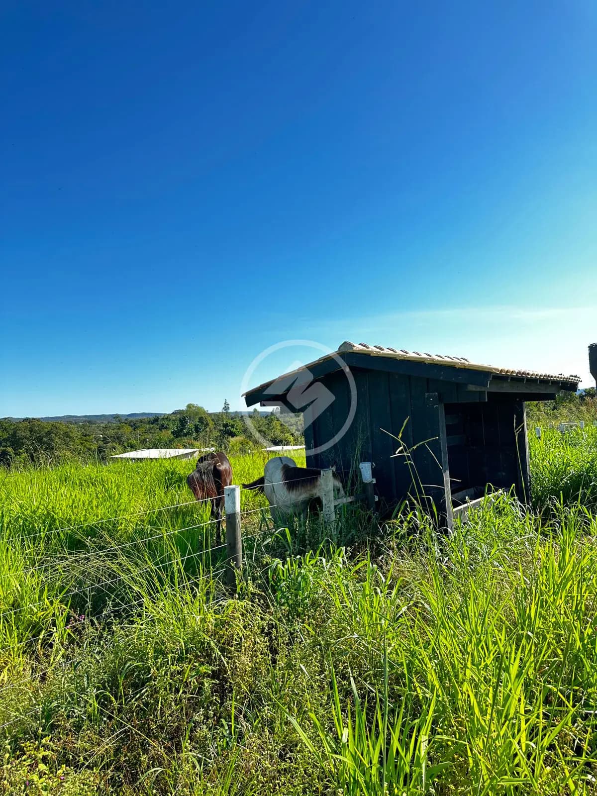 Chácara no Área Rural, Chapada dos Guimarães — foto 3 de 5