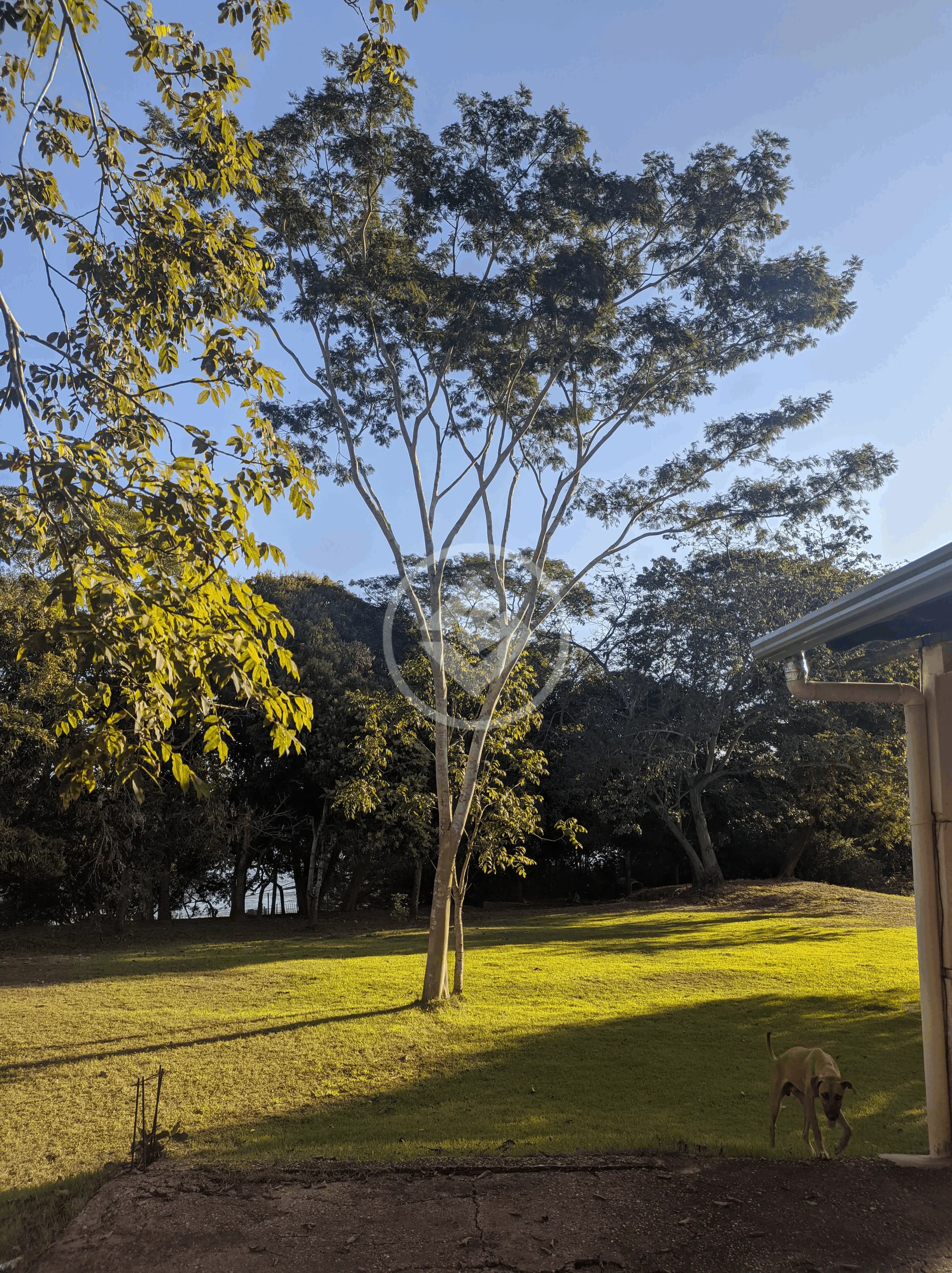 Chácara 2 quartos no NOVO TEMPO, Cuiabá — foto 5 de 6