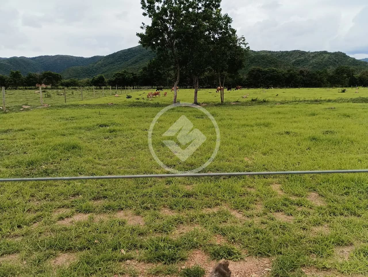 Sítio 3 quartos no ZONA RURAL, Cuiabá — foto 5 de 6