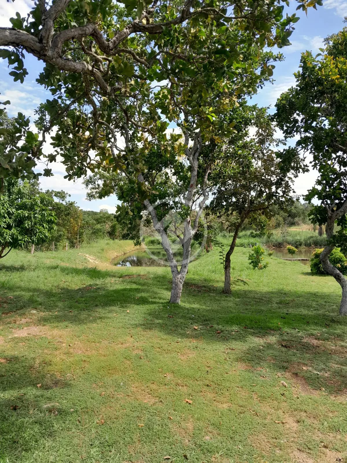 Chácara 3 quartos no Nossa Senhora da Guia, Cuiabá — foto 6 de 6