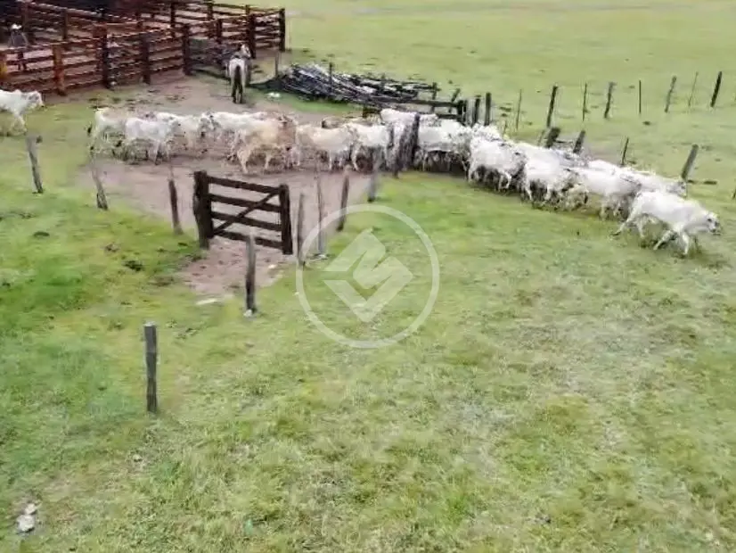 Fazenda 3 quartos no SANTA CRUZ, Chapada dos Guimarães — foto 3 de 6