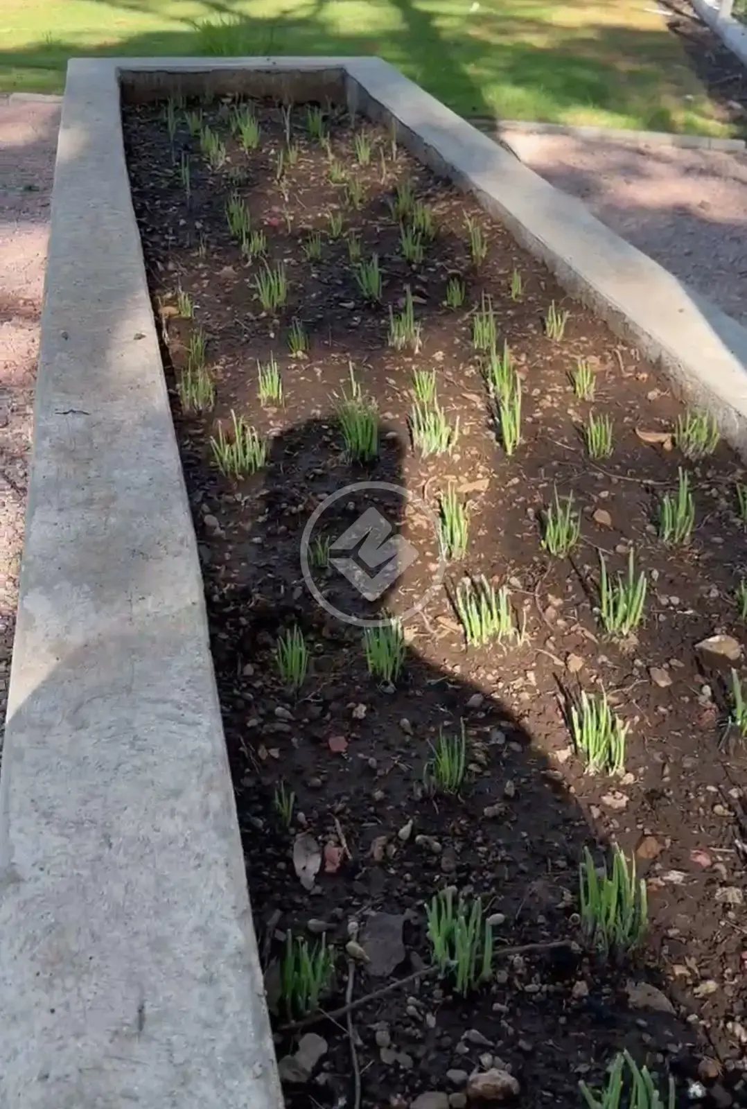 Terreno Condomínio no CENTRO, Chapada dos Guimarães — foto 5 de 6