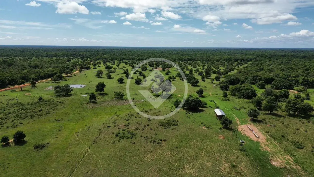 Fazenda bandeira, Cuiabá - MT — foto 2