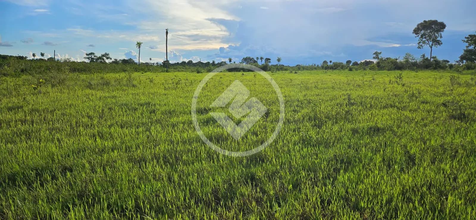 Sítio de 70 Hectares em Poconé – Pronto para Pecuária e Rico em Água