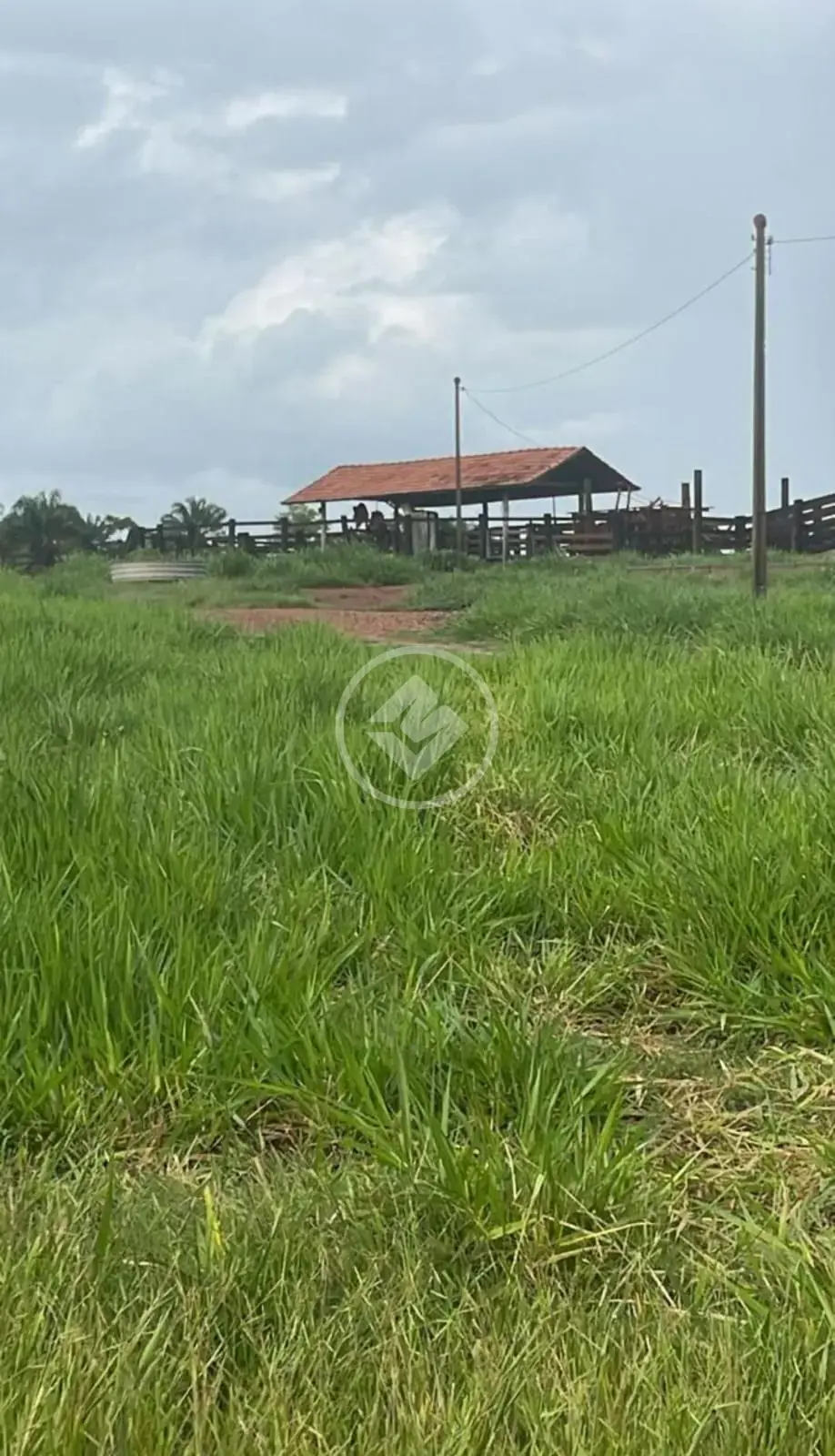 Fazenda de Dupla Aptidão em Poconé – 276 Hectares com Rio, Infraestrutura Completa e Localização Estratégica