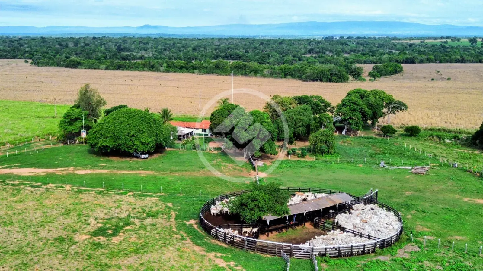 Fazenda Vitrine em Poconé – 630 ha Dupla Aptidão