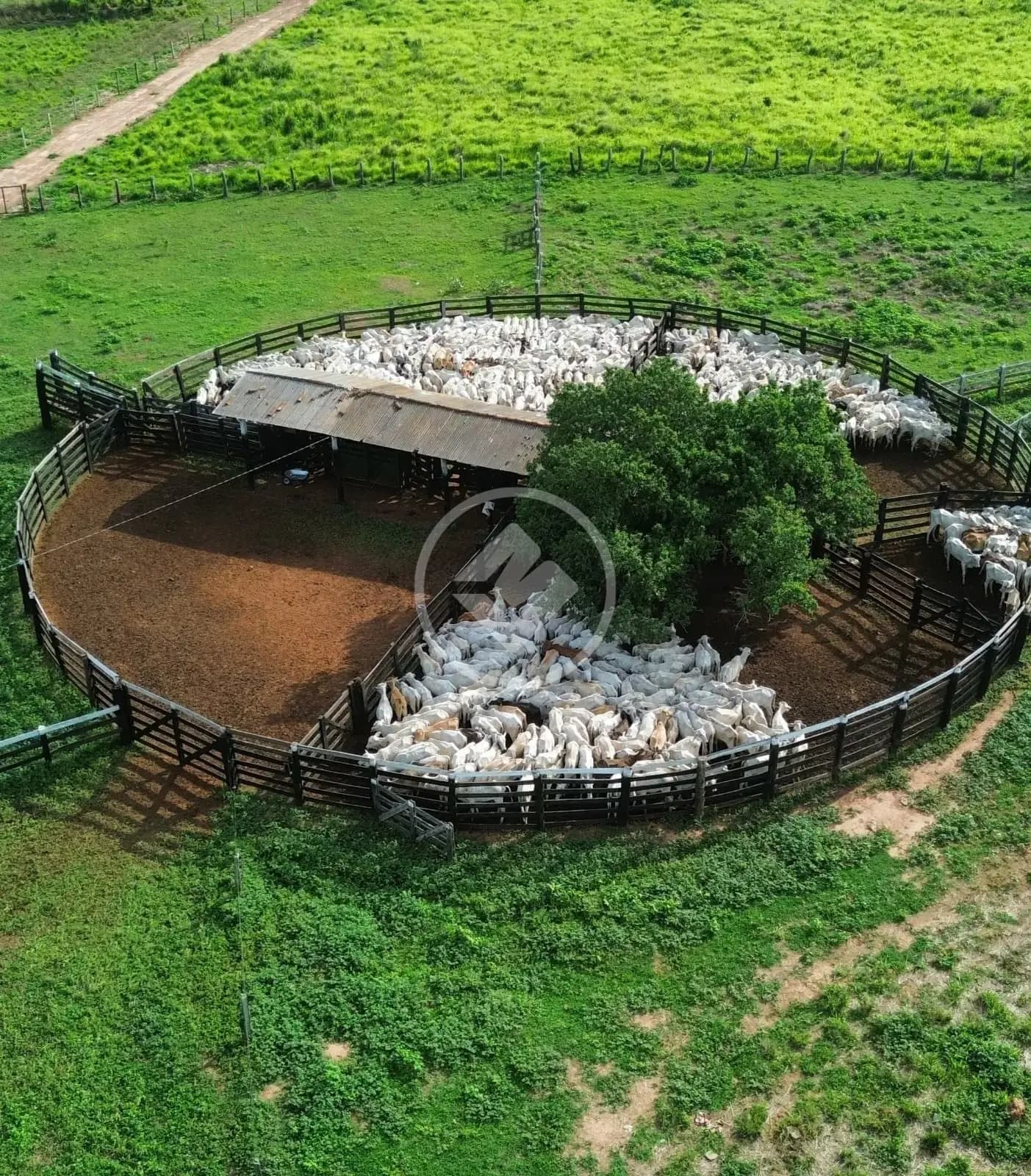 Fazenda 4 quartos no ZONA RURAL, Poconé — foto 3 de 3