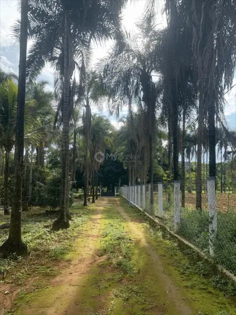 Chácara Loteamento Quinta dos Sonhos, Abadia de Goiás - GO — foto 1