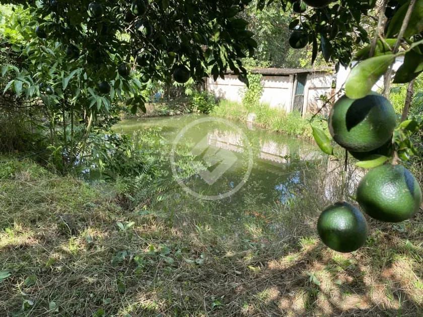 Chácara 3 quartos no Setor Amim Camargo, Goiânia — foto 5 de 6