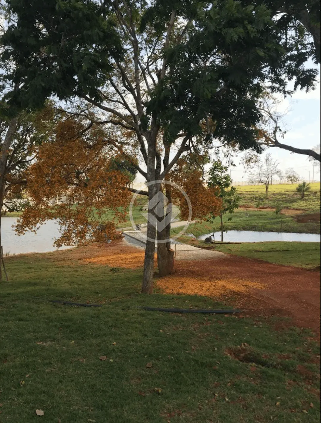 Chácara no Zona Rural, Guapó — foto 3 de 6