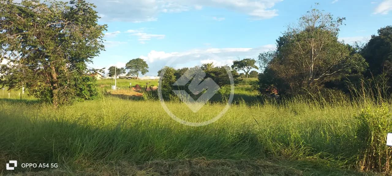 Fazenda Setor Oeste, Trindade - GO — foto 2