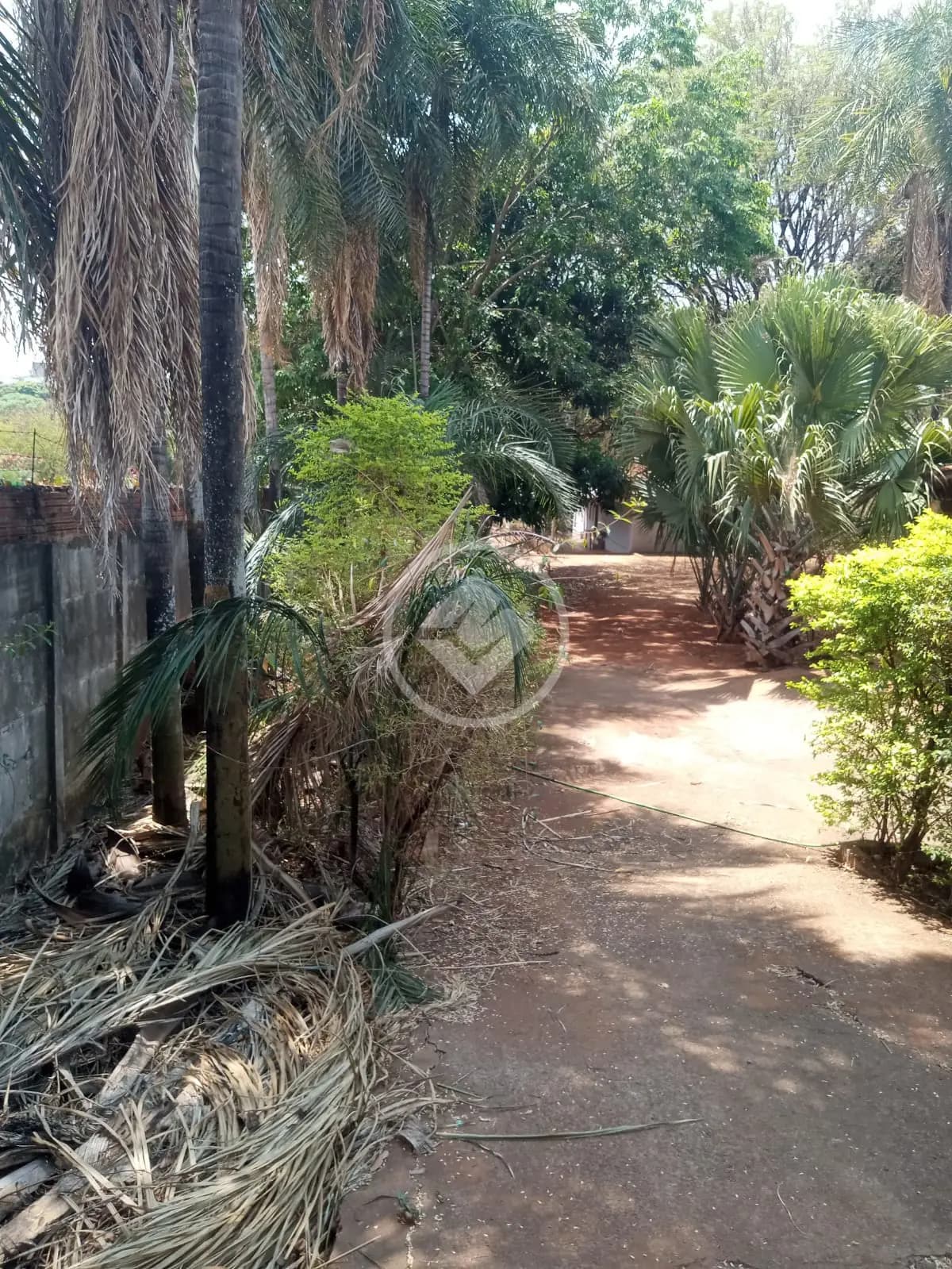 Chácara Chácaras Dona Gê, Goiânia - GO — foto 1