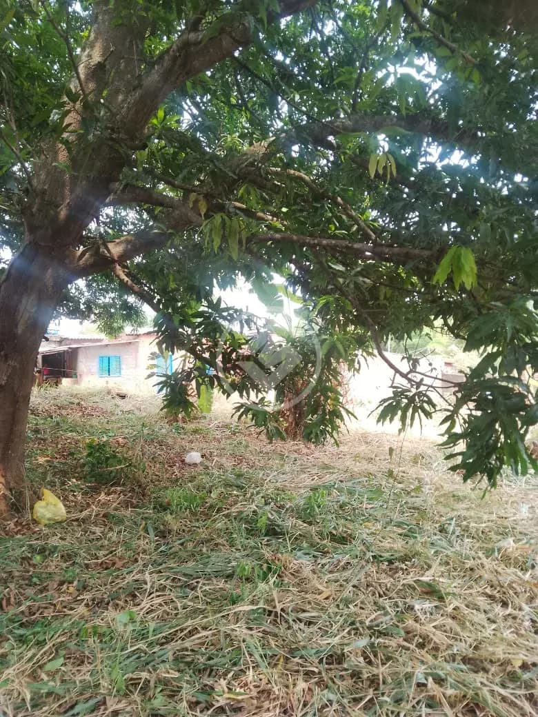 Terreno no Jardim Paraíso, Aparecida de Goiânia — foto 5 de 6