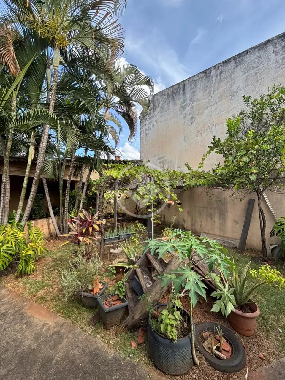 Casa 3 quartos no Jardim América, Goiânia — foto 5 de 6