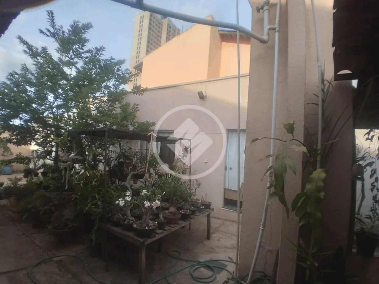 Casa 3 quartos no Jardim América, Goiânia — foto 6 de 6
