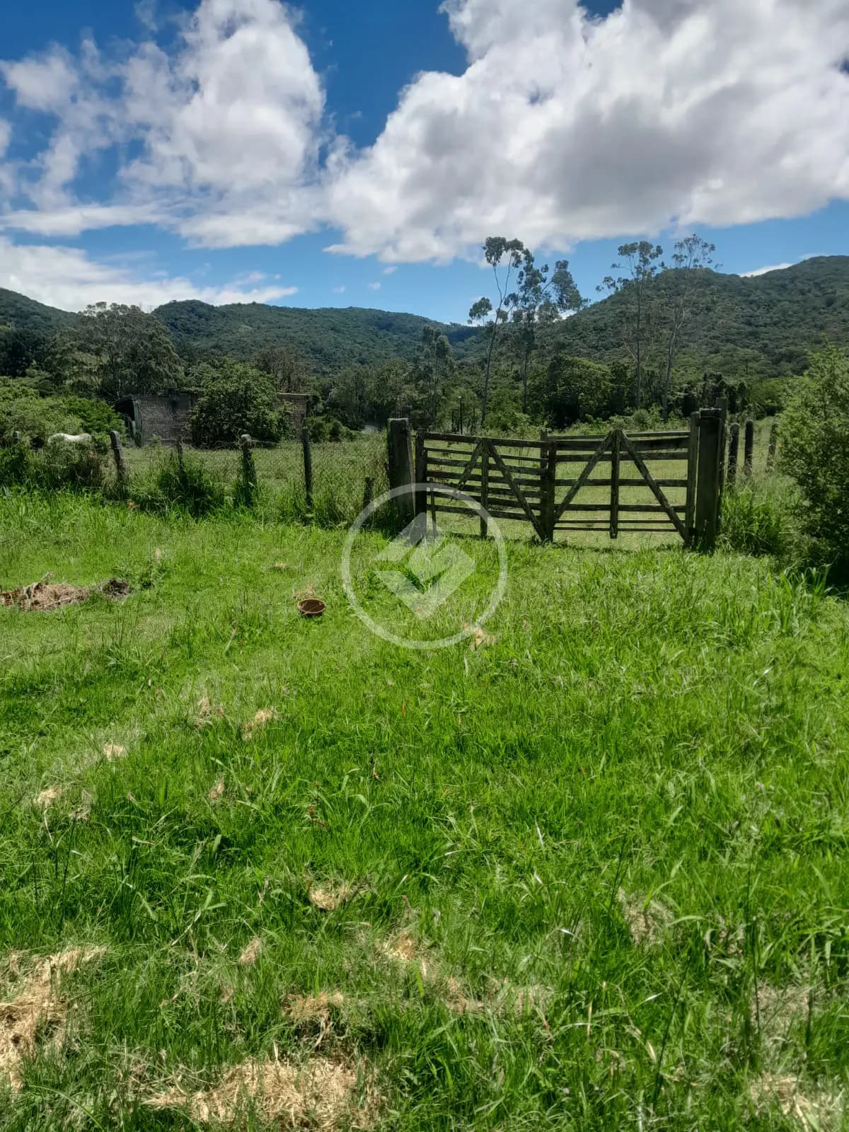 Sítio Ratones, Florianópolis - SC — foto 2