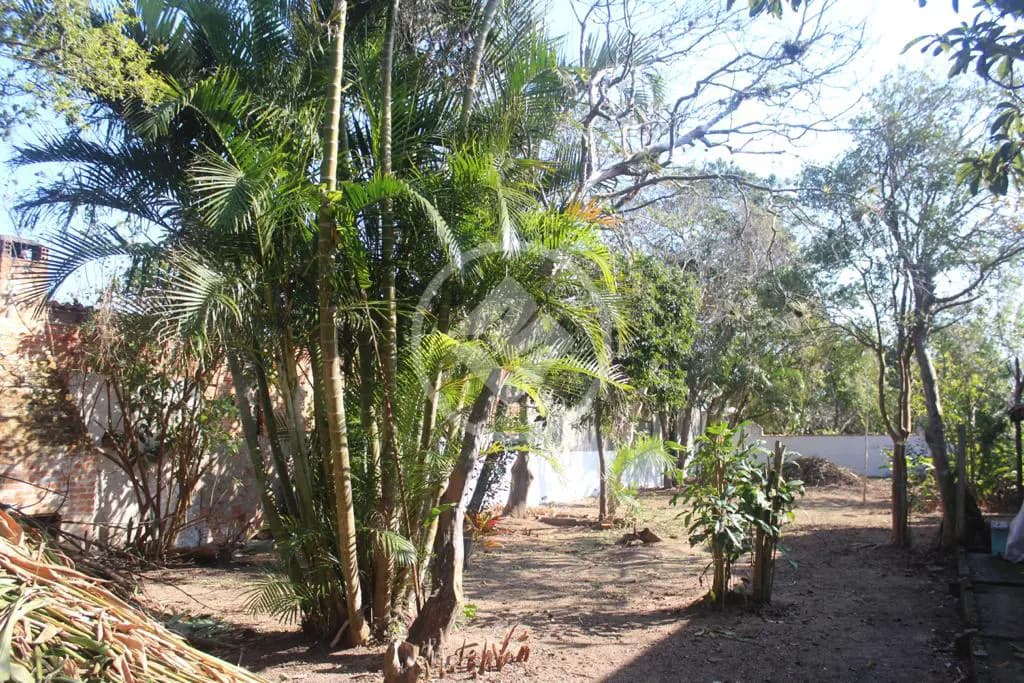 Terreno no Tapera da Base, Florianópolis — foto 6 de 6