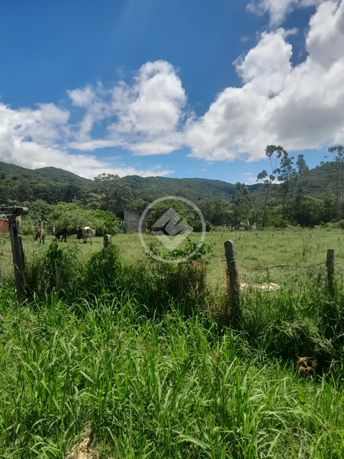Sítio no Ratones, Florianópolis — foto 4 de 6
