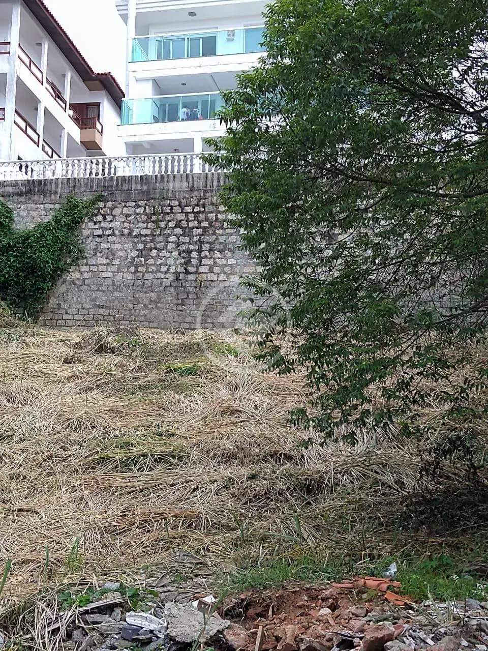 Terreno no Agronômica, Florianópolis — foto 3 de 3