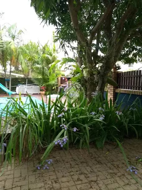 Sobrado Rio Tavares, Florianópolis - SC — foto 2