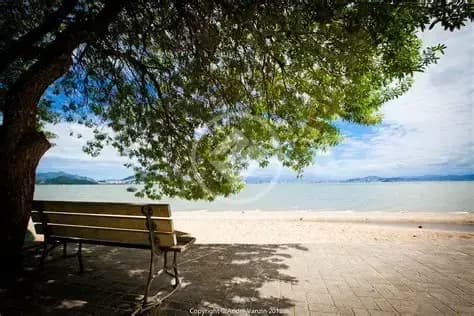 Apartamento Cacupé, Florianópolis - SC — foto 2