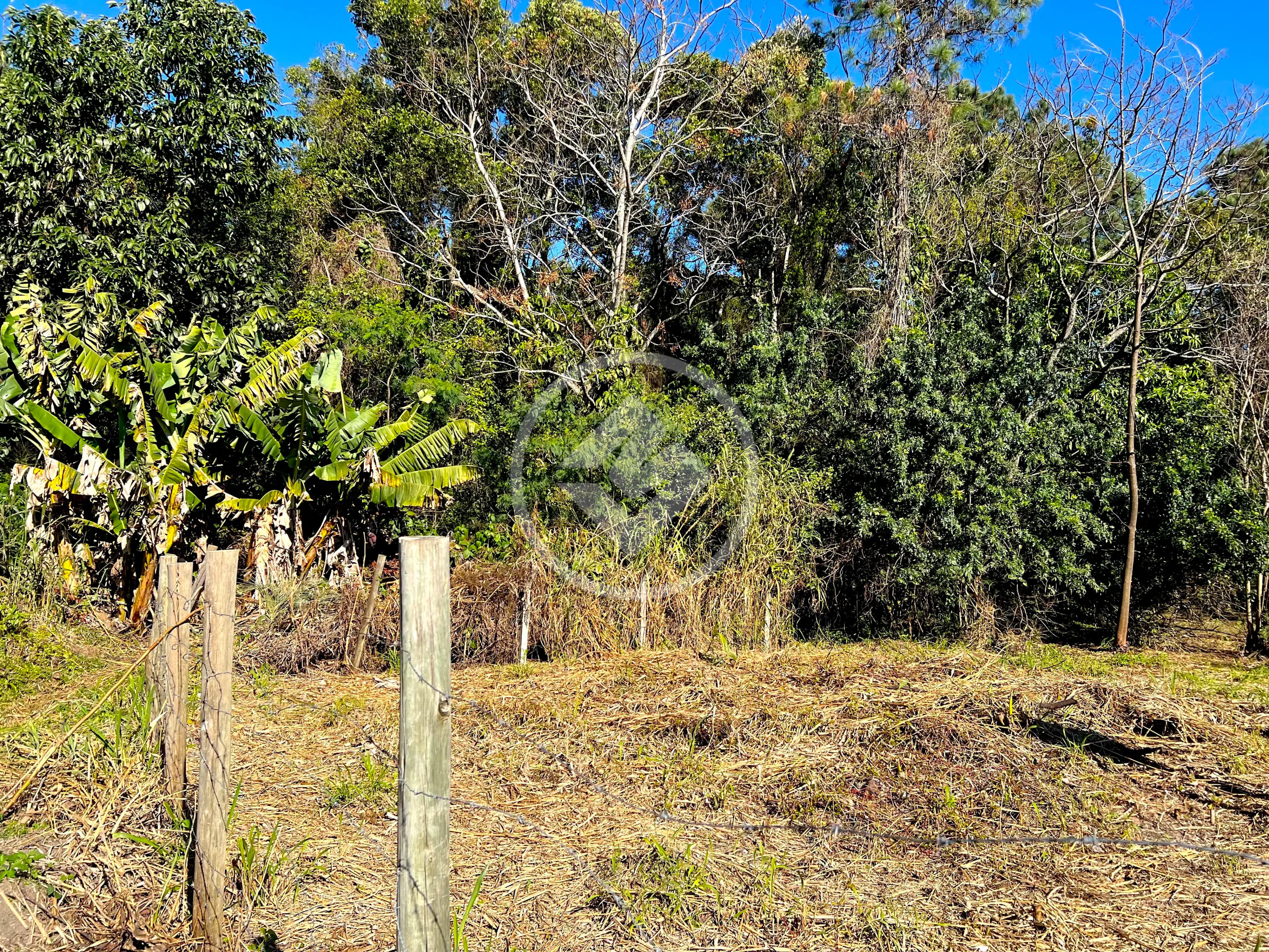 Terreno no Campeche, Florianópolis — foto 6 de 6