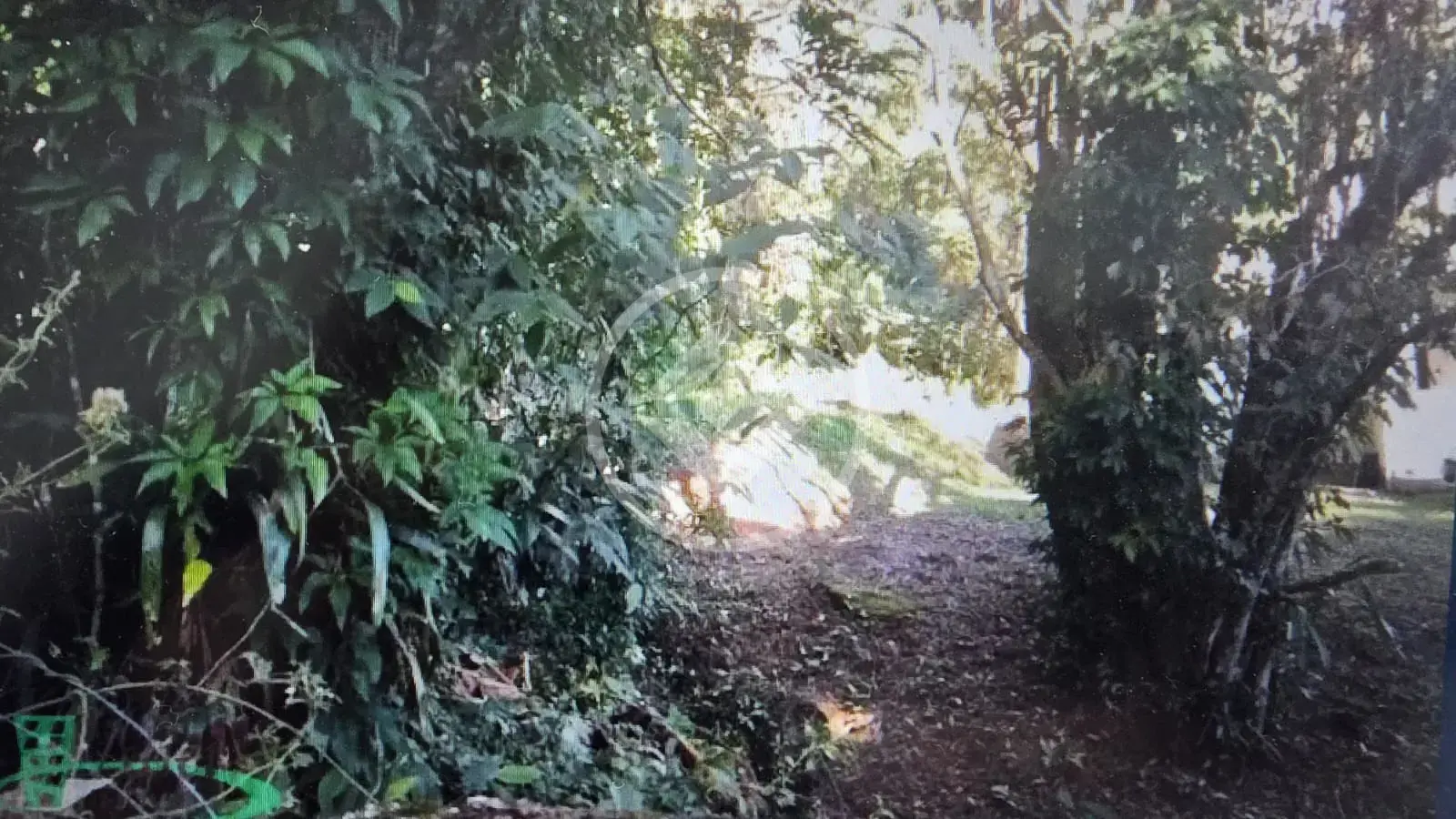 Terreno no Campeche, Florianópolis — foto 4 de 6