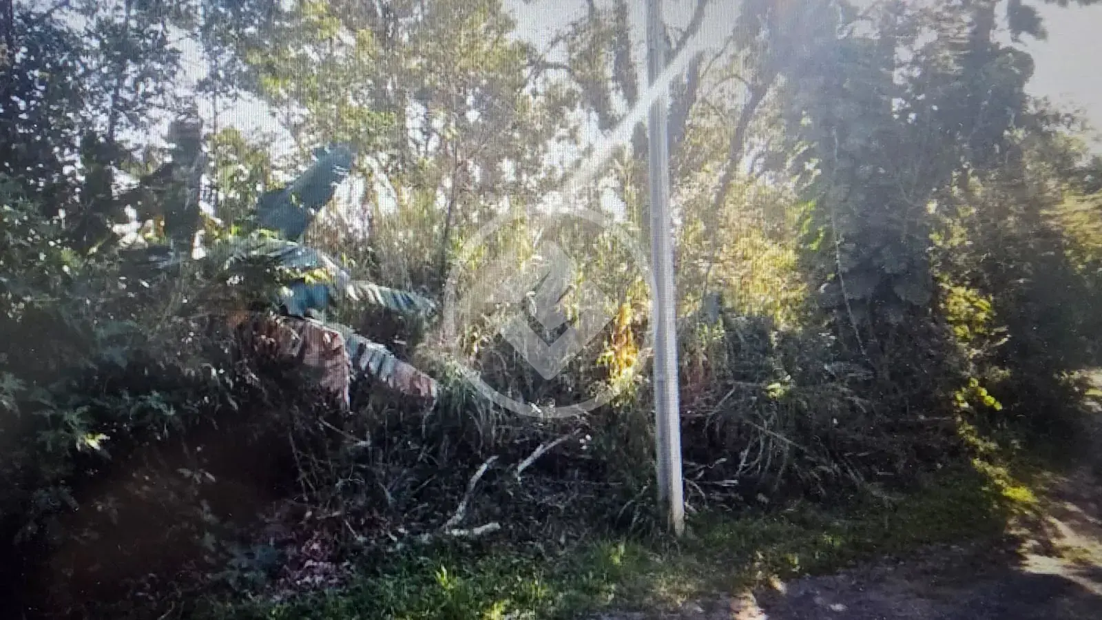 Terreno no Campeche, Florianópolis — foto 5 de 6