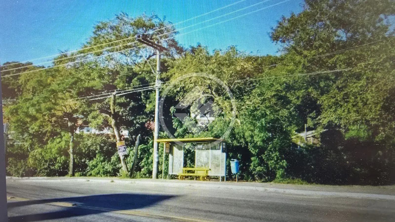 Terreno Campeche, Florianópolis - SC — foto 1