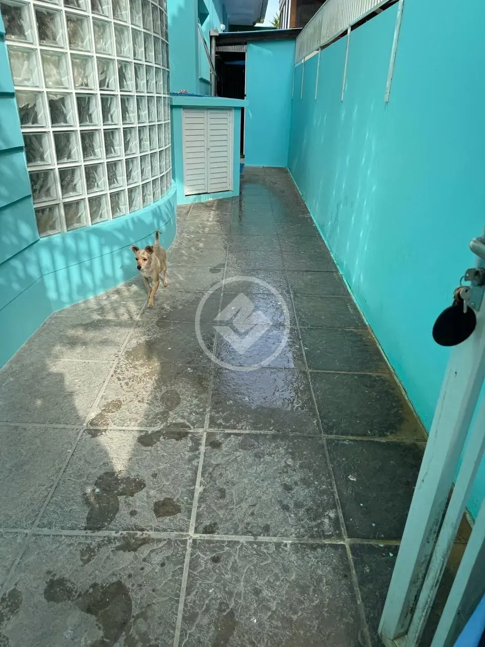Casa 3 quartos no JURERÊ, Florianópolis — foto 3 de 6