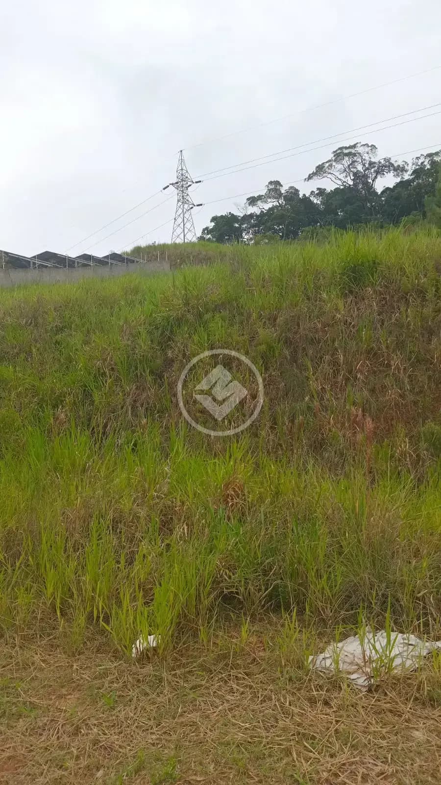 Terreno no Sertão do Maruim, São José — foto 6 de 6