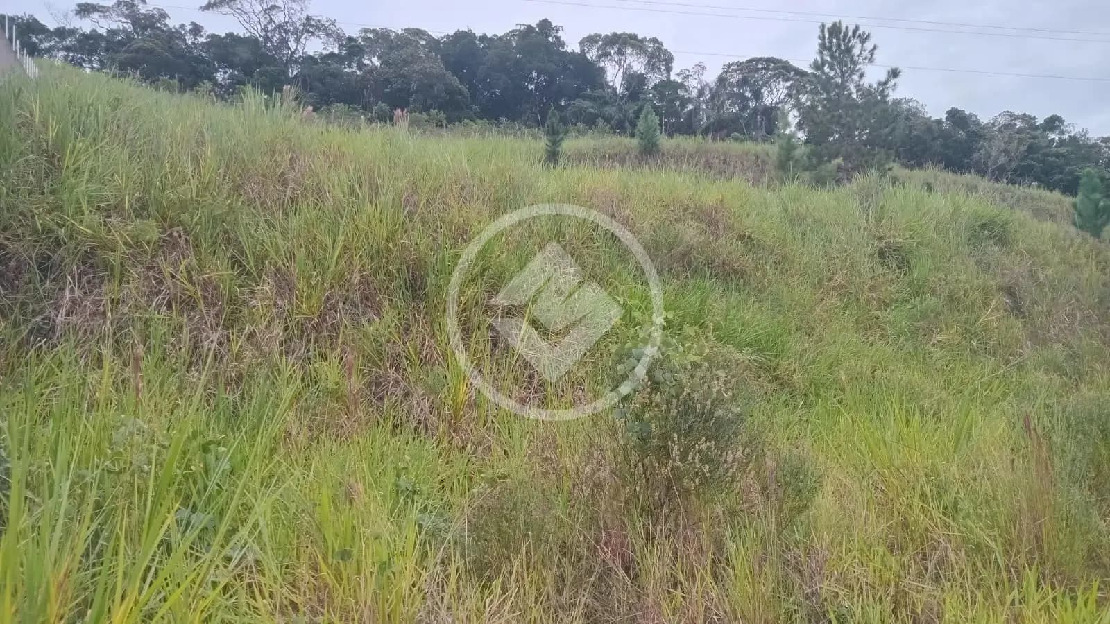 Terreno Sertão do Maruim, São José - SC — foto 1