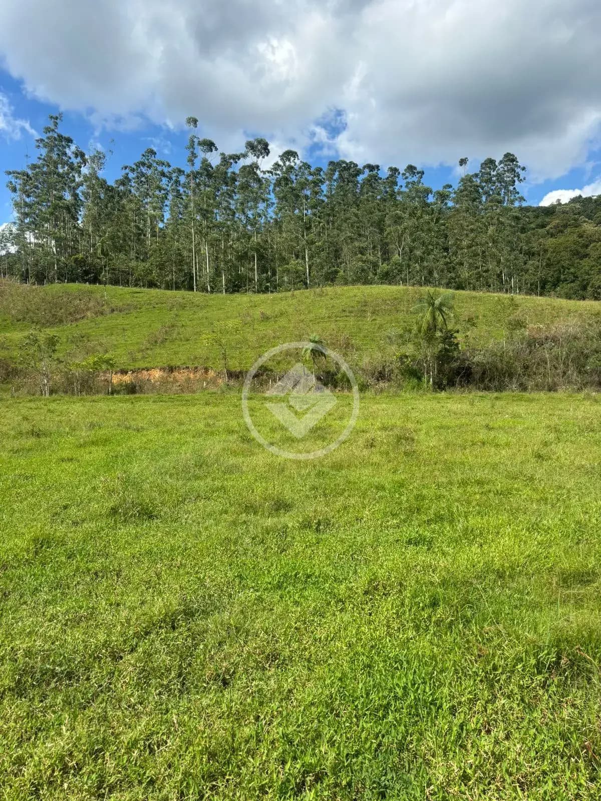 Terreno Centro, Antônio Carlos - SC — foto 2