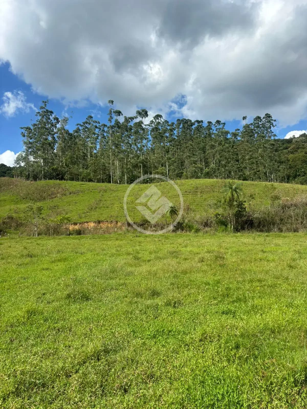 Terreno no Centro, Antônio Carlos — foto 3 de 4