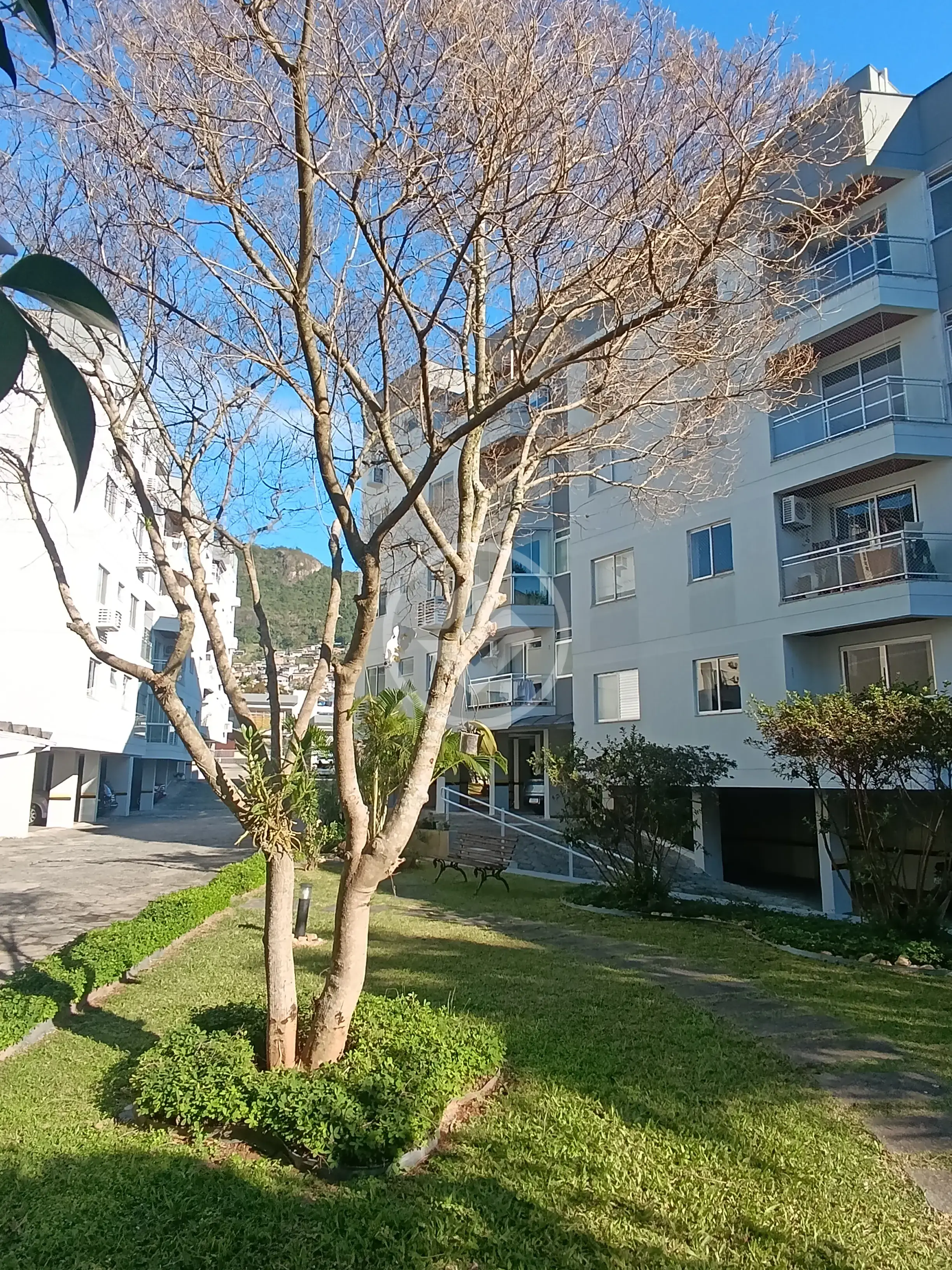Apartamento Trindade, Florianópolis - SC — foto 1