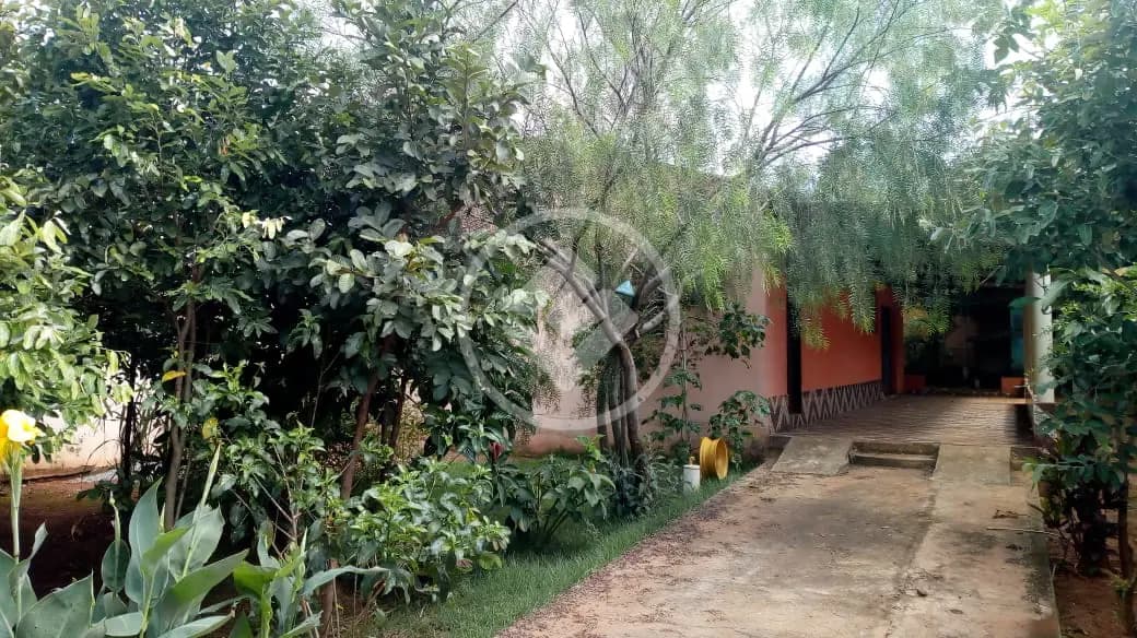 Casa 2 quartos no Jardim dos Girassóis, Aparecida de Goiânia — foto 3 de 6