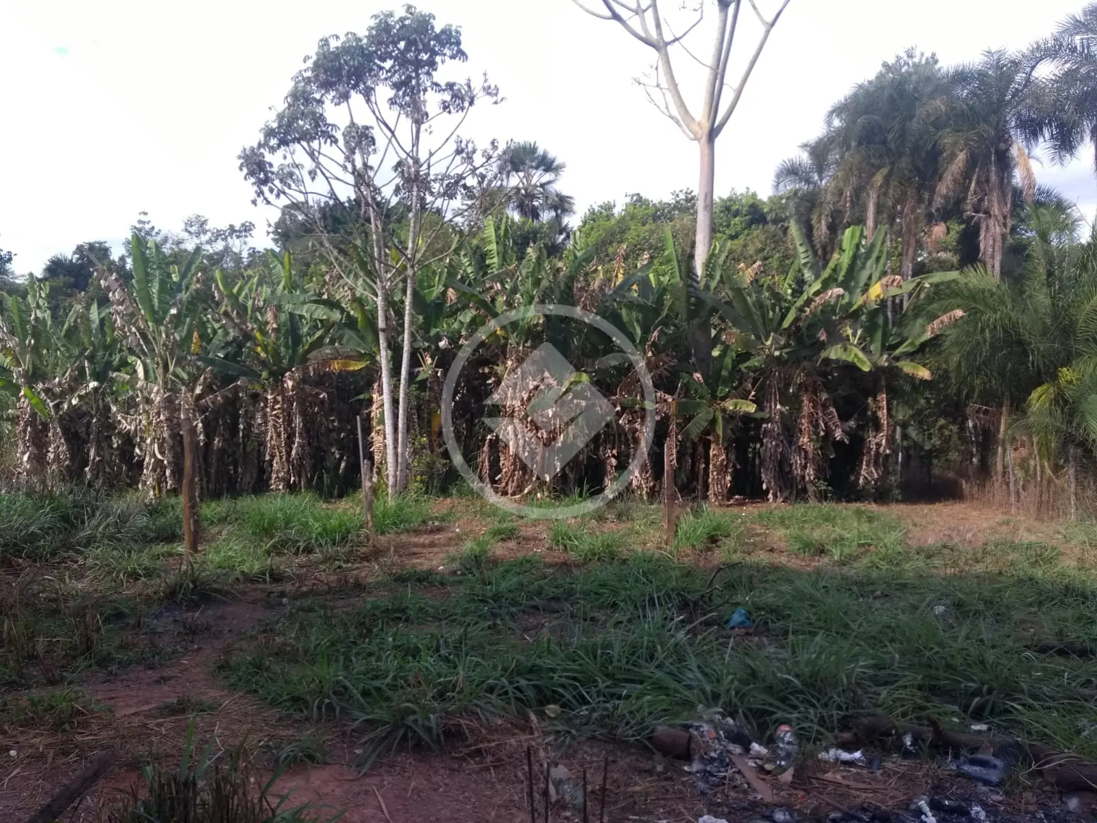 Chácara 3 quartos no Parque Veiga Jardim, Aparecida de Goiânia — foto 6 de 6